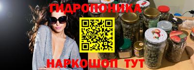 эйфоретик Кингисепп