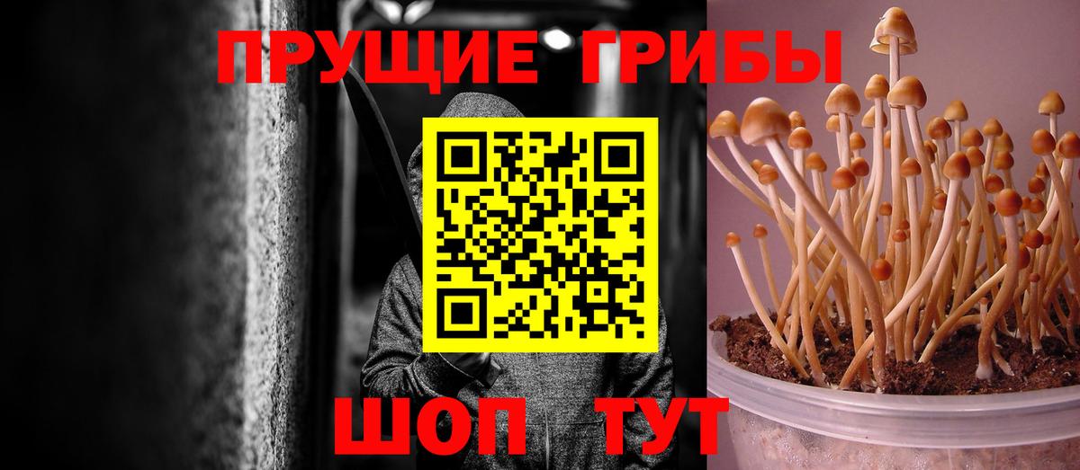 Конаково  Псилоцибиновые грибы мухоморы  Вход с VPN  Псилоцибиновые грибы Psilocybine cubensis 
